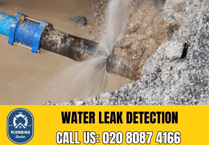 leak detection Notting Hill